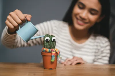 Illustration pet - Image 1