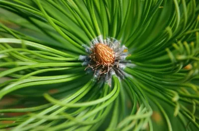 Illustration fascicules - Image 1