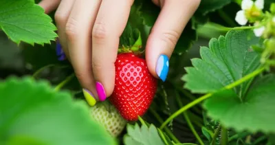 Illustration picks - Image 1