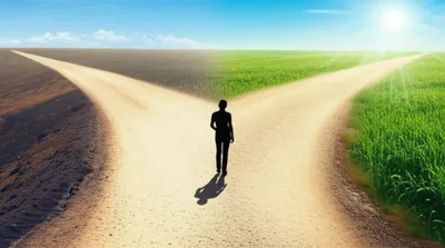 Hình ảnh minh họa bifurcation - Ảnh 1