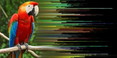 Illustration artefact - Image 1