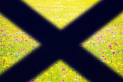 Illustration negatives - Image 1