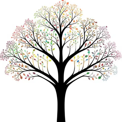 Illustration homolog - Image 1