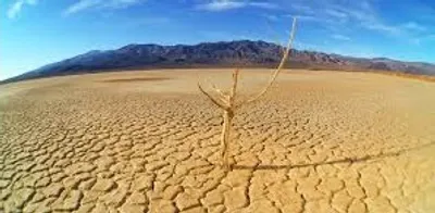 Illustration barren - Image 2