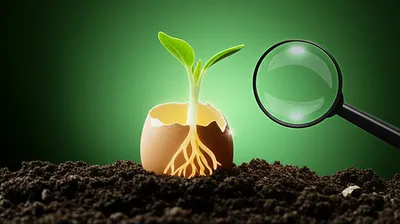 Illustration hatch - Image 1