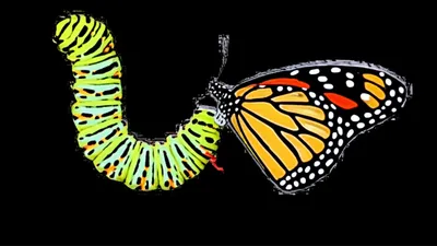 Illustration modifies - Image 1