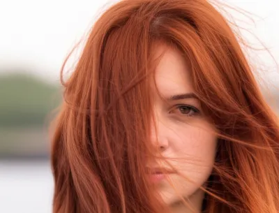 Illustration tousled - Image 1