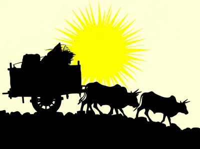 Illustration hauls - Image 1