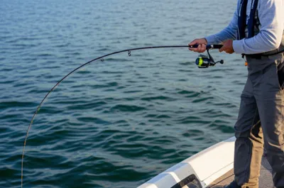 Illustration jigging - Image 1