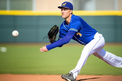 Illustration hangs - Image 1