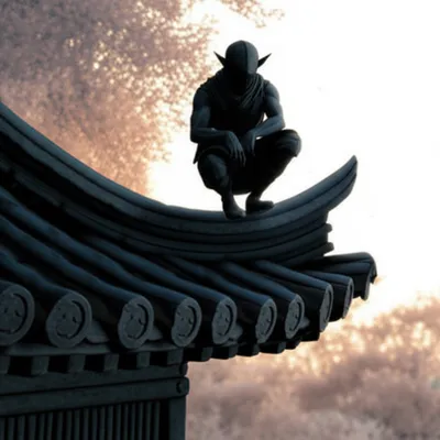 Illustration ninja - Image 1