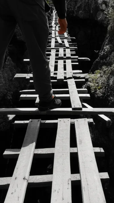 Illustration gingerly - Image 1