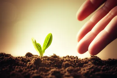 Illustration tending - Image 1