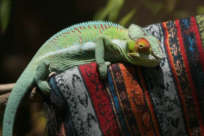 Illustration converts - Image 1