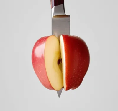 Illustration divided