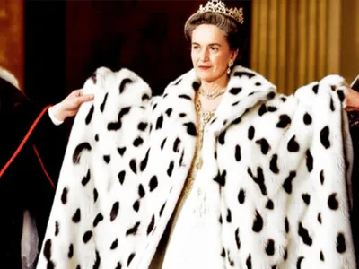 Illustration ermines - Image 1