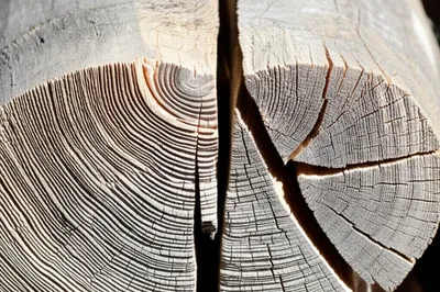 Illustration buts - Image 1