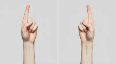 Illustration contradicted - Image 1