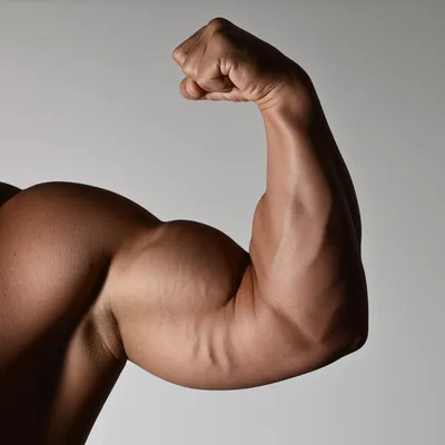 Illustration flex - Image 1