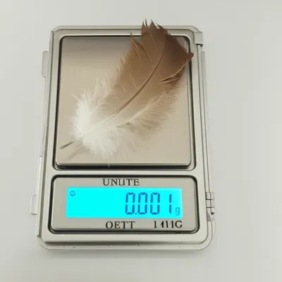 Illustration milligrammes