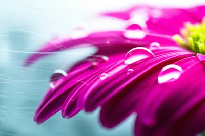 Illustration prove - Image 1