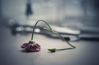 Illustration ab - Image 1