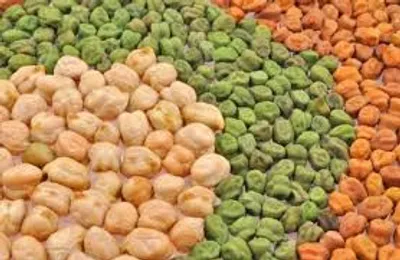 Illustration gram - Image 2