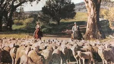 Illustration squatter - Image 2