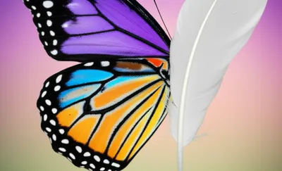 Illustration winged - Image 1