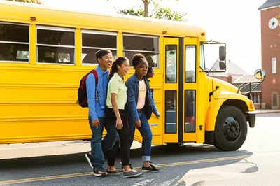 Illustration bussed - Image 1