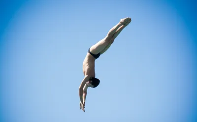 Illustration piked - Image 1