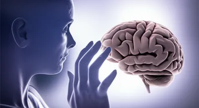 Illustration haunting - Image 1