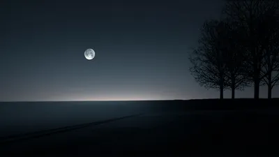 Illustration midnight