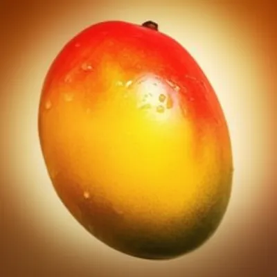 Illustration maturate - Image 1