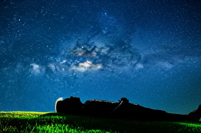 Illustration stargazing