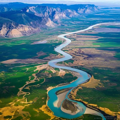 Illustration lineament - Image 1