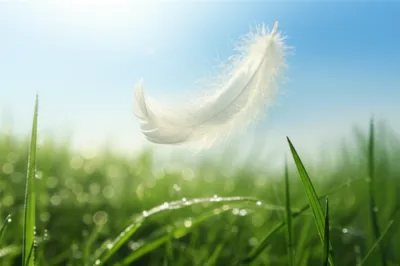 Illustration lightest - Image 1