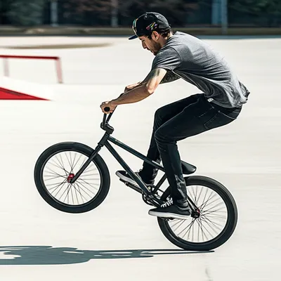 Illustration manuals - Image 1