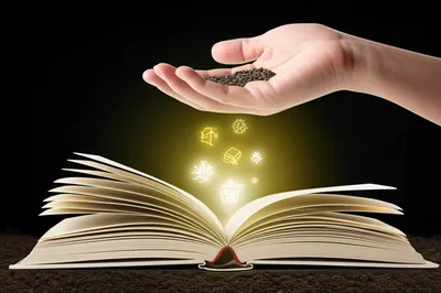 Illustration impart - Image 1