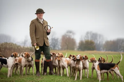 Illustration huntsmen - Image 1