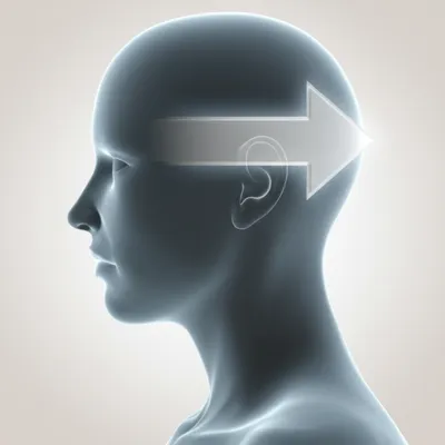 Illustration sagittal - Image 1