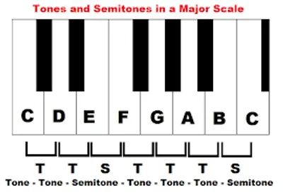 Illustration tone - Image 3
