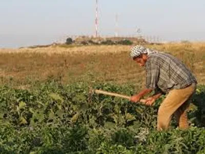 Illustration reclaim - Image 2