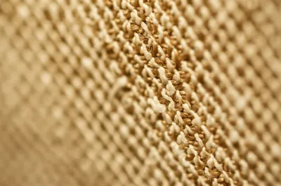 Illustration wuffs - Image 1