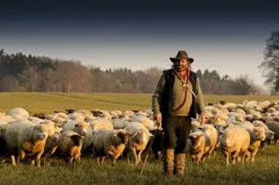 Illustration shepherd - Image 2