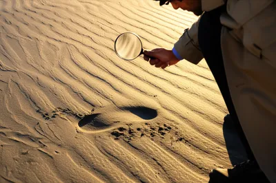 Illustration recognized - Image 1