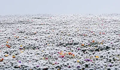 Illustration overlay - Image 1