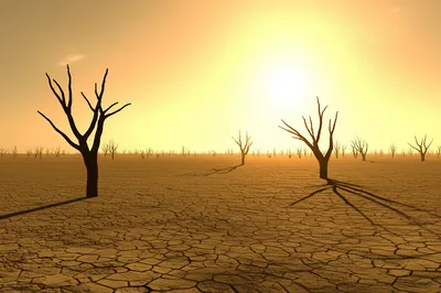 Illustration wasteland - Image 1