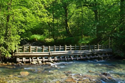 Illustration hatch - Image 1