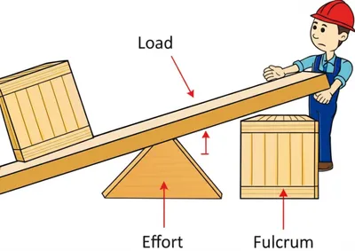 Illustration purchase - Image 1